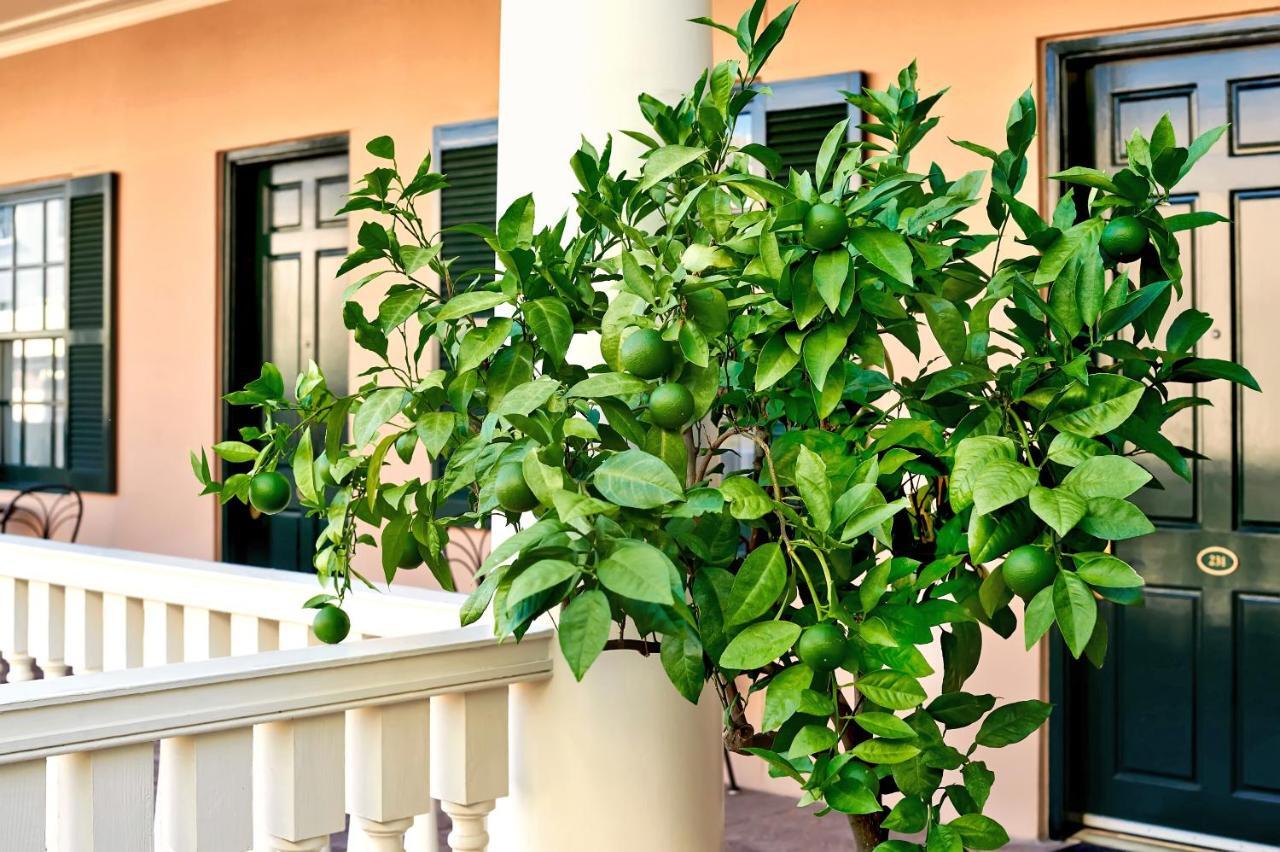Planters Inn - Charleston Dış mekan fotoğraf